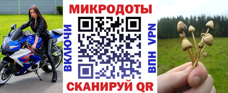Псилоцибиновые грибы Cubensis Купить где Кумертау